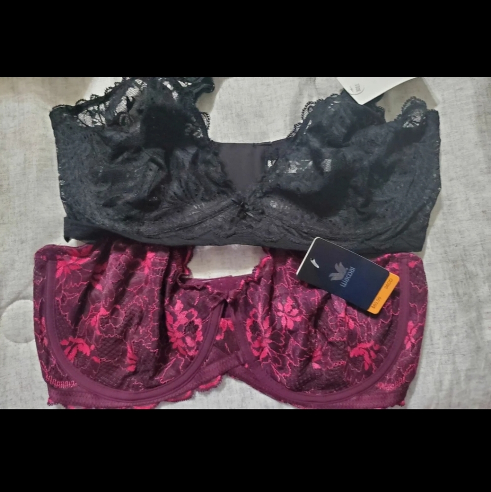 Wacoal and Le'Mysetere bra bundle on hold
